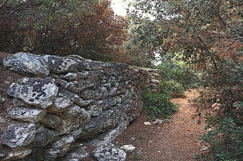 Wied Għollieqa Nature Reserve