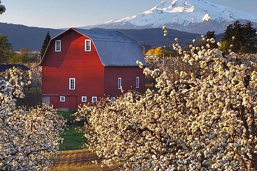 Hood River County Fruit Loop