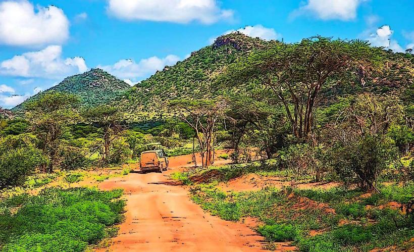 Sacred Forest of Man