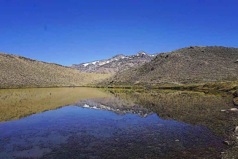Laguna de los Patos