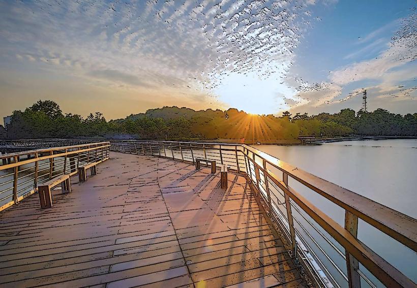 Bukit Chermin Boardwalk