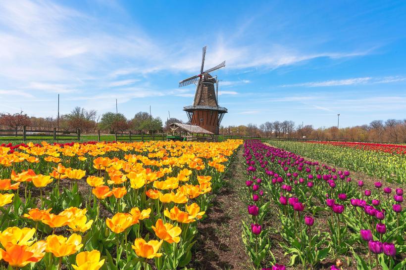 Windmill Island Gardens