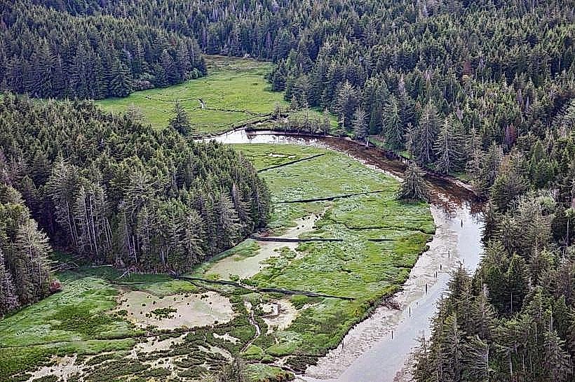 South Slough National Estuarine Research Reserve