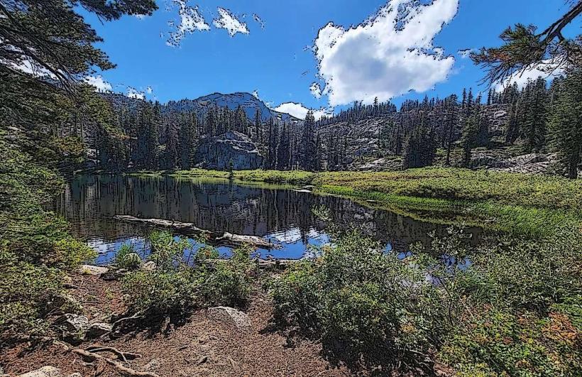 Tahoe National Forest