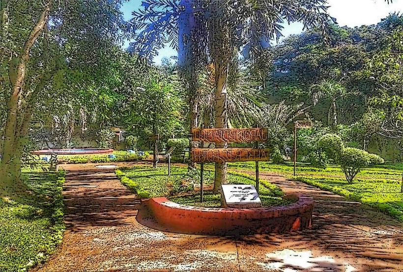 Jardín Botánico de Misiones