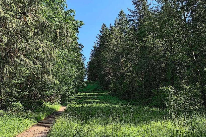 Redmond Watershed Preserve