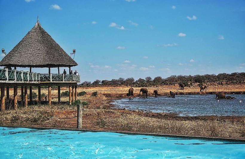 Voi Wildlife Lodge