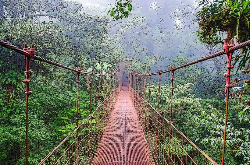 Monteverde Cloud Forest Reserve