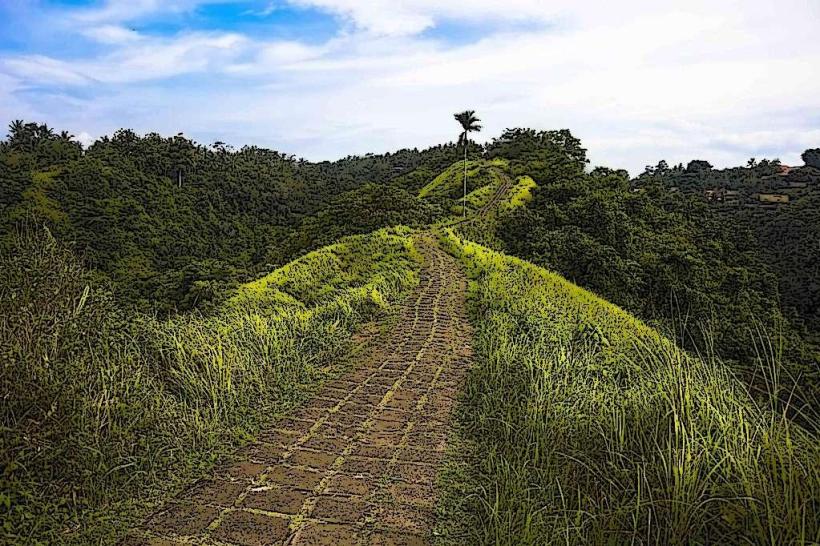 Campuhan Ridge Walk