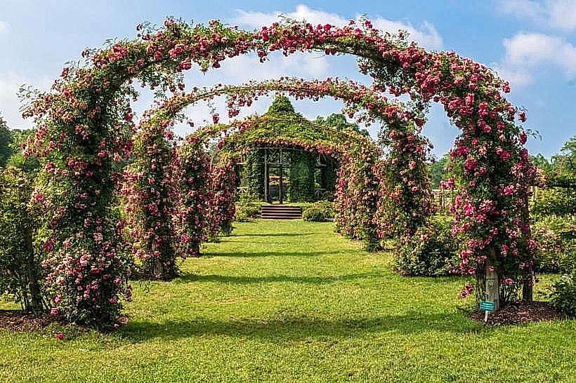 Elizabeth Park Rose Gardens