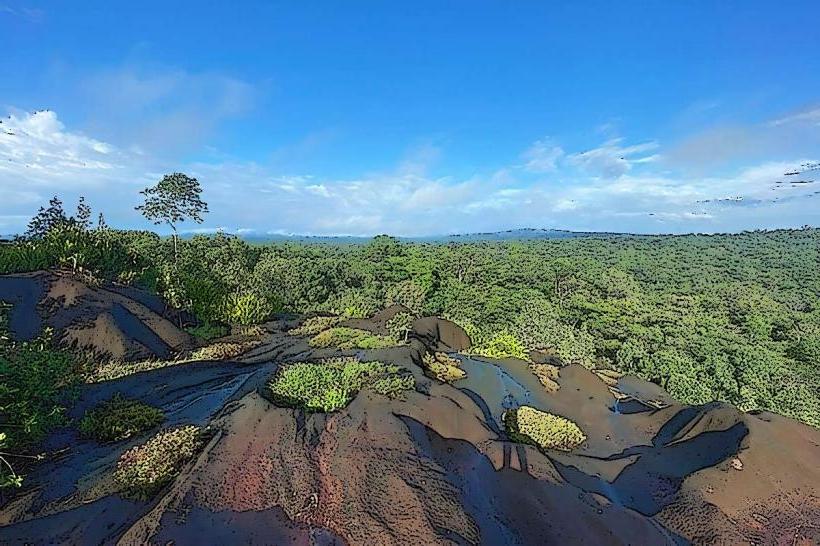 Tumuc-Humac Mountains Nature Reserve