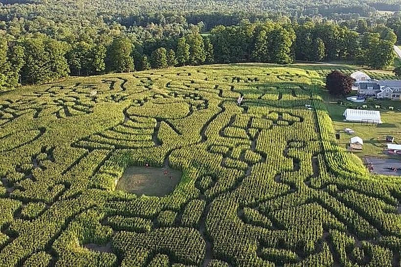 Hathaway Farm Corn Maze