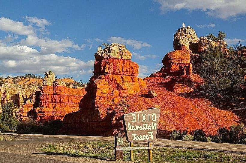 Dixie National Forest