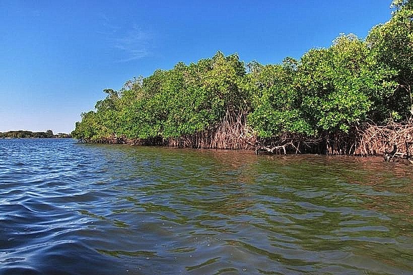 Basse Casamance National Park