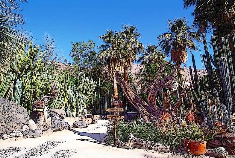 Moorten Botanical Garden and Cactarium