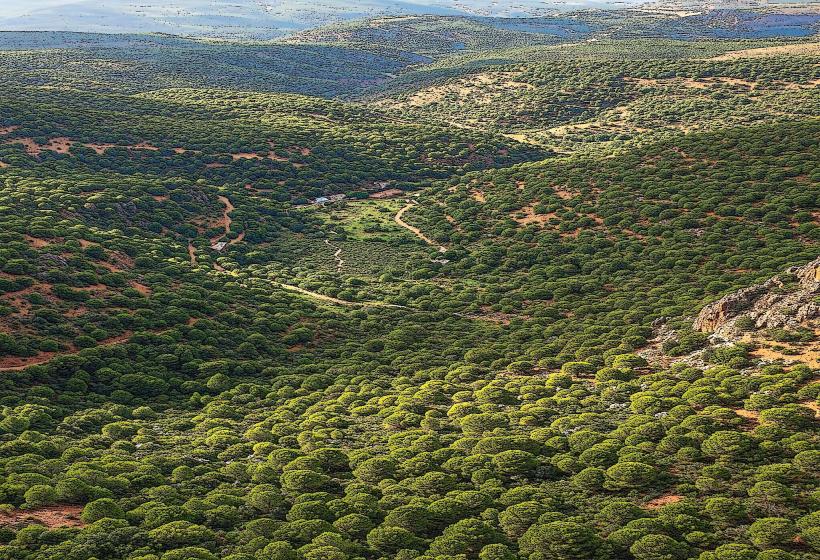 Tiaret National Park
