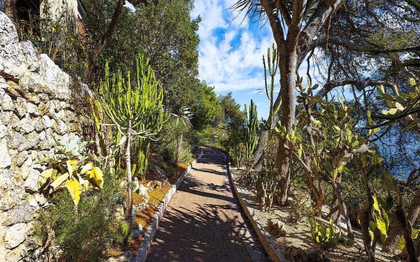 Saint Martin Gardens