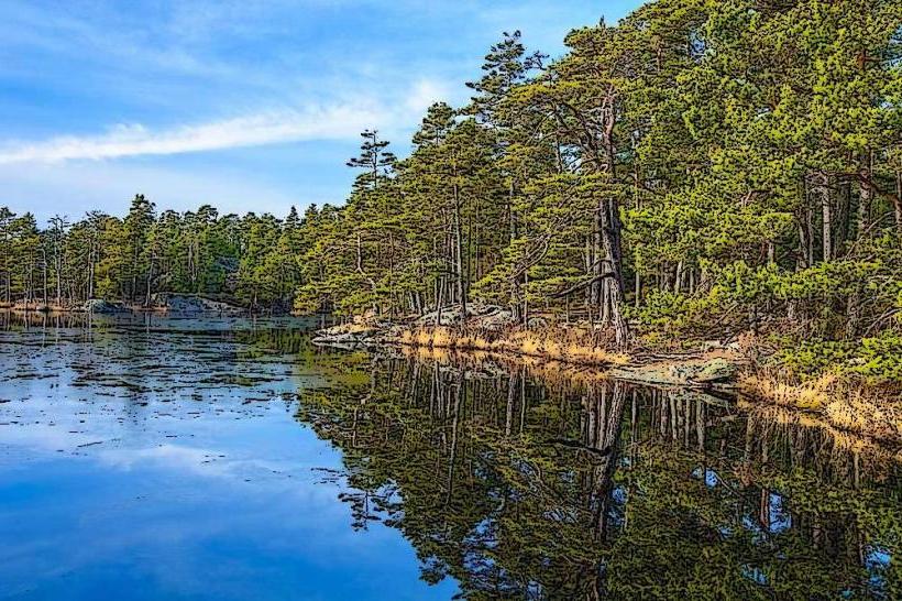 Tyresta National Park