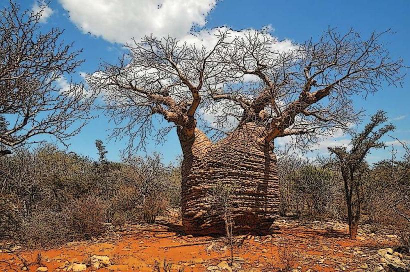 Tsimanampetsotsa National Park