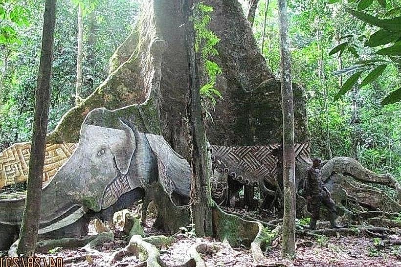 Campo Ma’an National Park