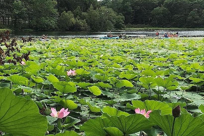 Meshanticut State Park