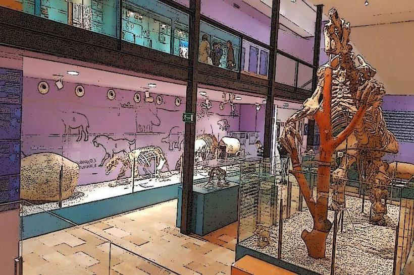 Museo de Historia Natural de Valencia