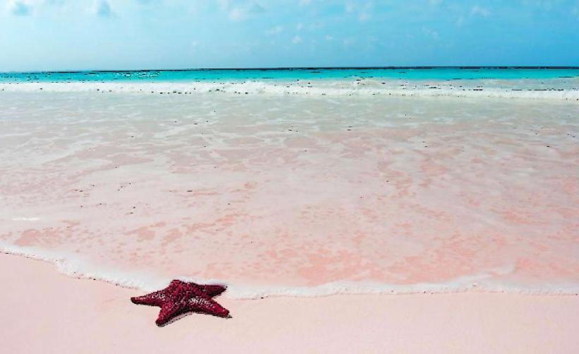 Pink Sands Beach