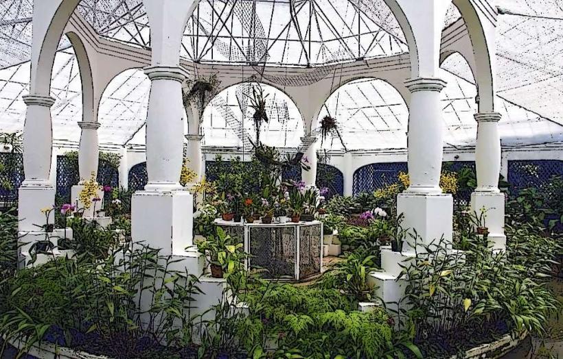 Botanical Garden (Jardim Botânico)