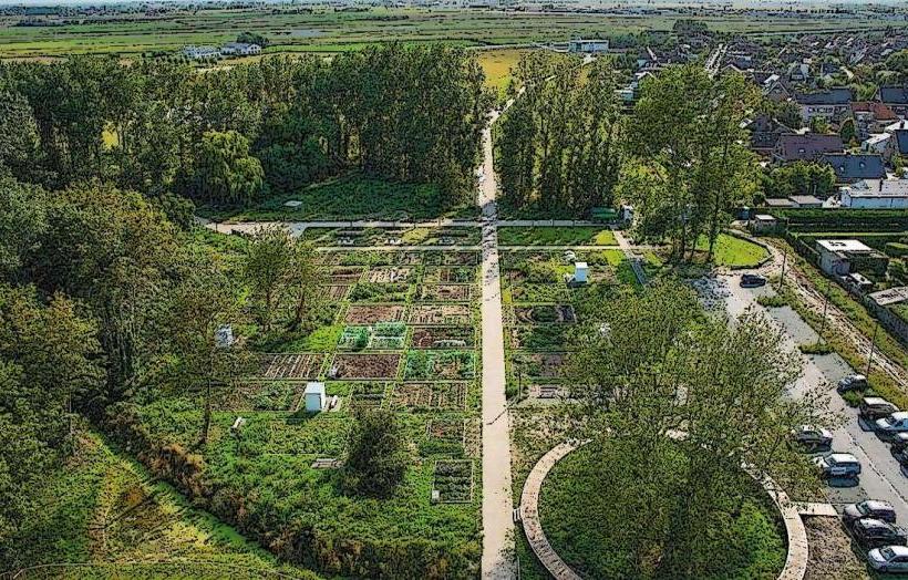 East End Park (Oosteroeverduinen)