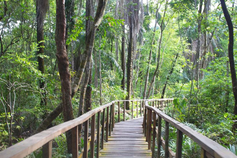 Lekki Conservation Centre