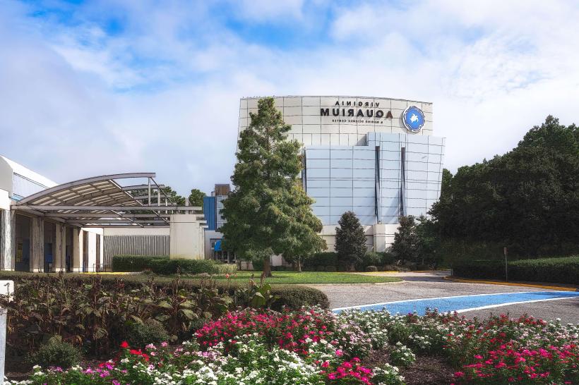 Virginia Aquarium & Marine Science Center