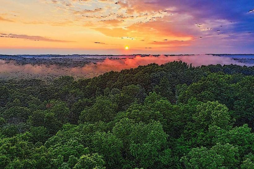 Reserva Natural de la Selva Amazónica
